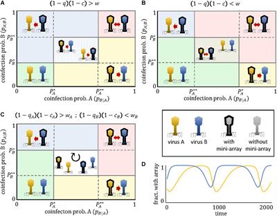 Game-Theoretical Modeling of Interviral Conflicts Mediated by Mini-CRISPR Arrays